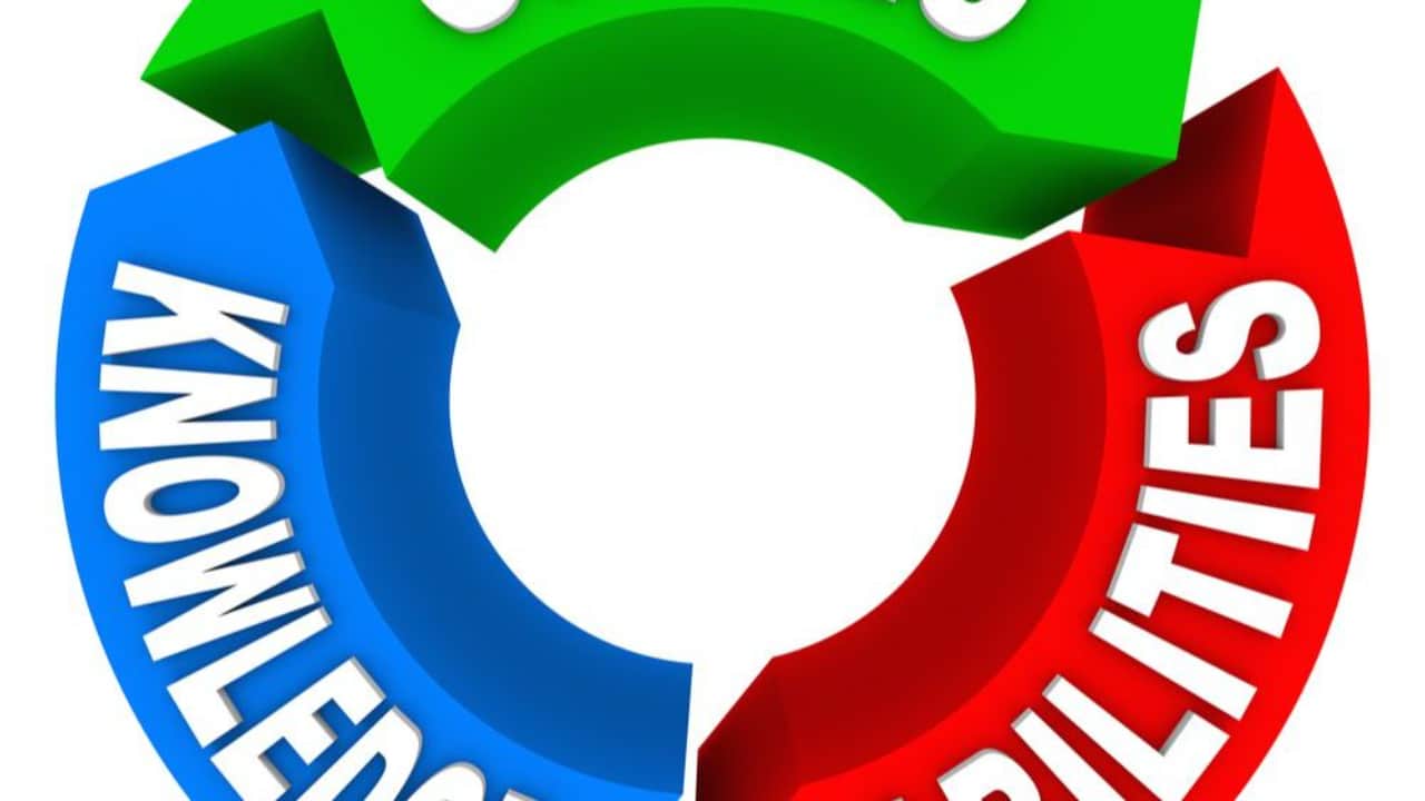 The Career Occupational Preference System